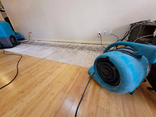 Professional Water Damage Repair technician working in Gardendale, AL